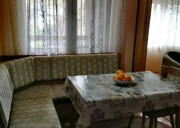 Apartman Mancic Sokobanja